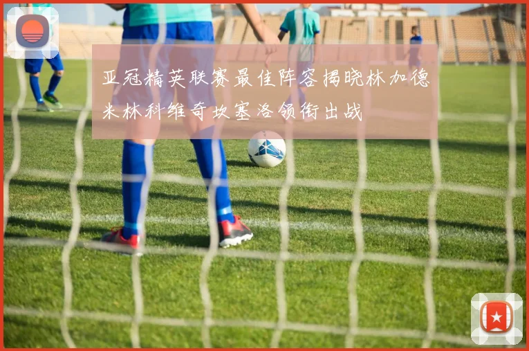 亚冠精英联赛最佳阵容揭晓林加德米林科维奇坎塞洛领衔出战