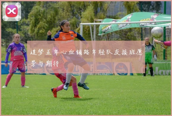追梦五年心血铺路年轻队友接班愿景与期待