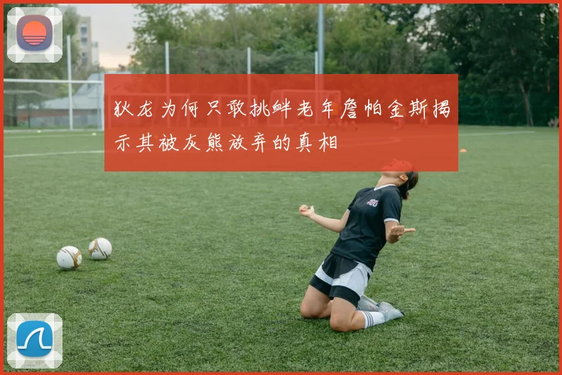 狄龙为何只敢挑衅老年詹帕金斯揭示其被灰熊放弃的真相