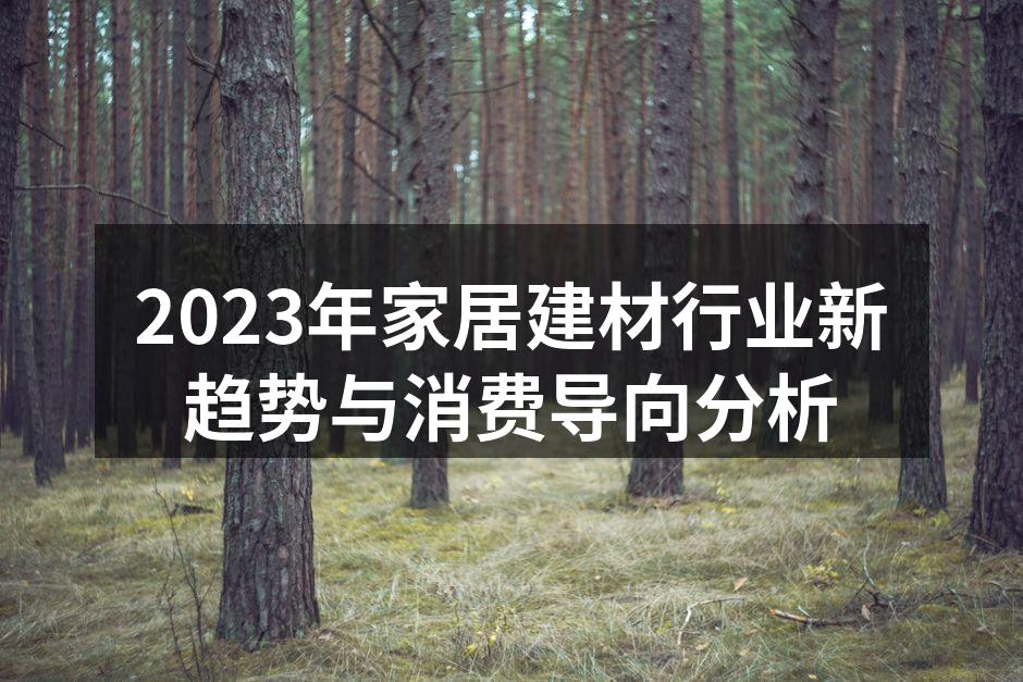 2023年家居建材行业新趋势与消费导向分析