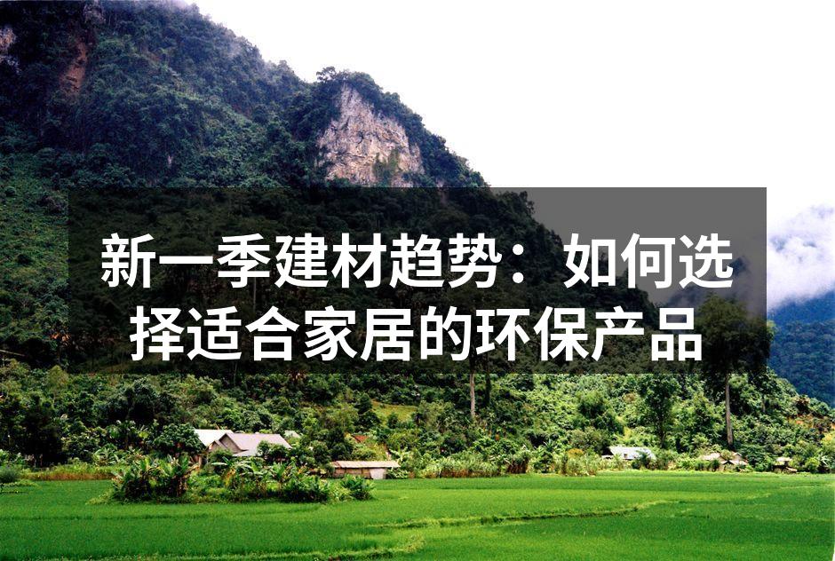 新一季建材趋势：如何选择适合家居的环保产品